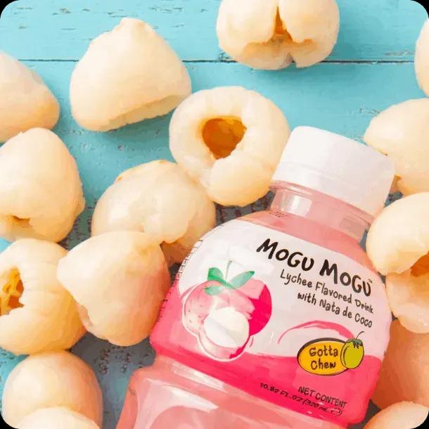 Mogu Mogu World | Mogu Mogu